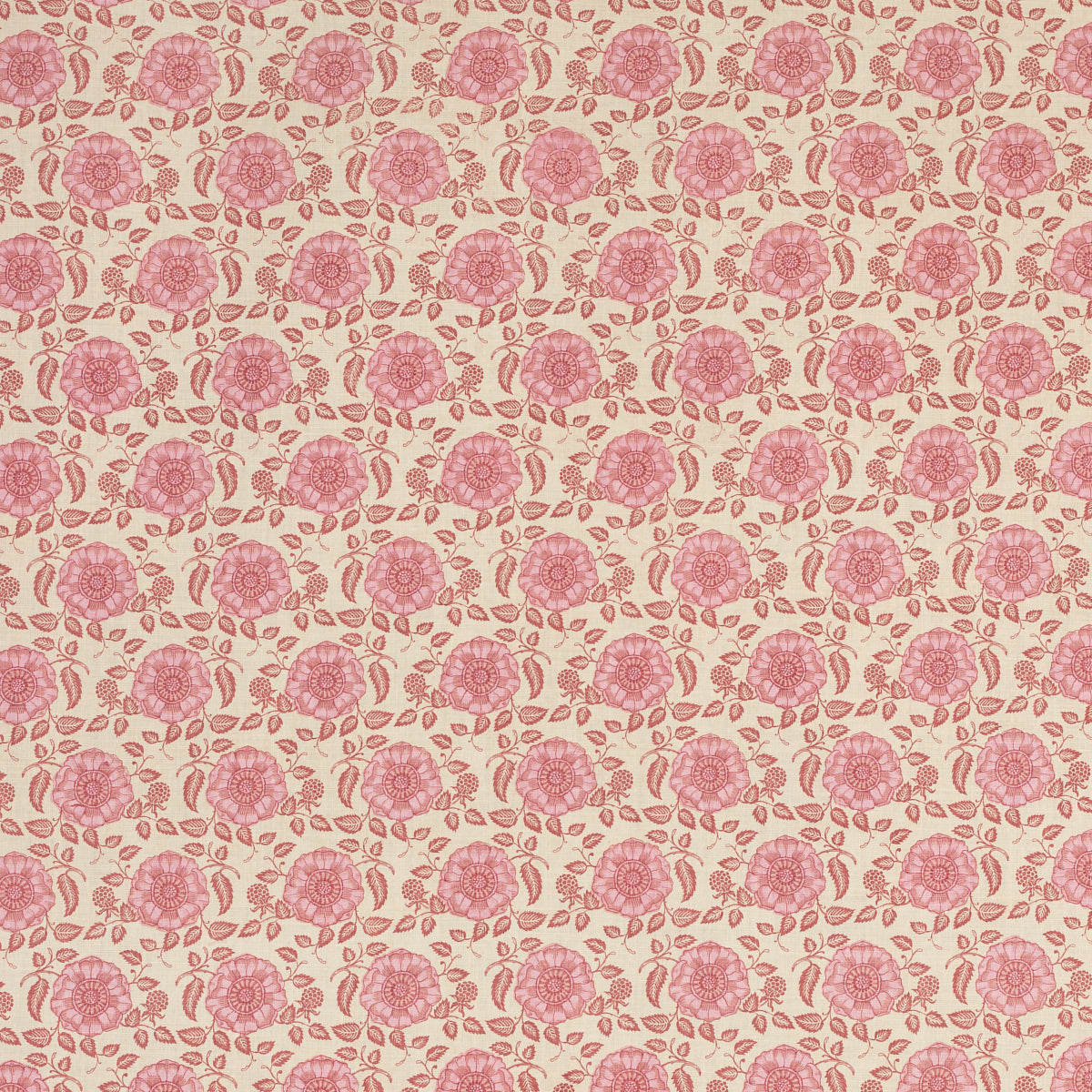 Schumacher 631B63 MARBELLA BY RAOUL in ROSE Fabric - RAOUL T