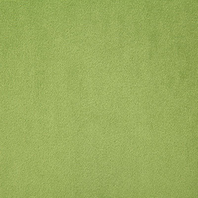 Pindler VOLTAIRE CITRUS 6334 Fabric - Fabric Collection