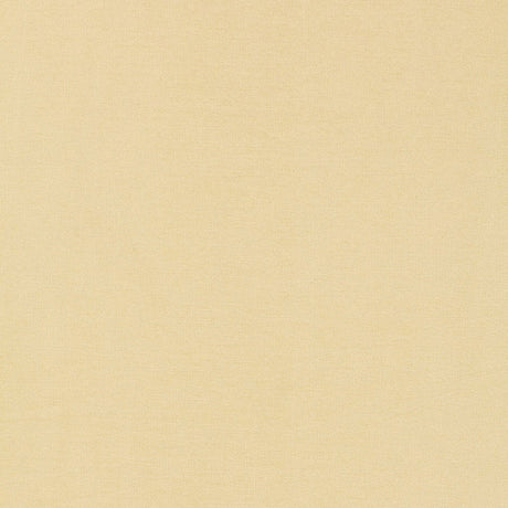 Schumacher 63841 TIEPOLO SHANTUNG WEAVE in BONE Fabric - PER