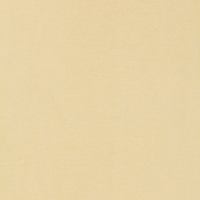 Schumacher 63841 TIEPOLO SHANTUNG WEAVE in BONE Fabric - PER