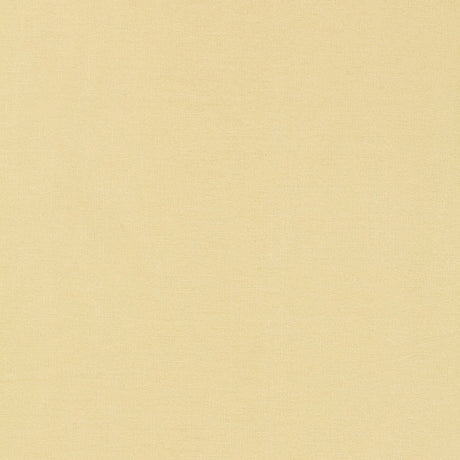 Schumacher 63842 TIEPOLO SHANTUNG WEAVE in IVORY Fabric - PE