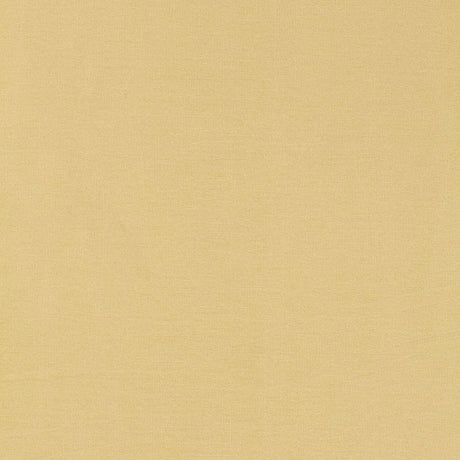 Schumacher 63843 TIEPOLO SHANTUNG WEAVE in CHAMPAGNE Fabric 