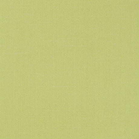 Schumacher 63866 TIEPOLO SHANTUNG WEAVE in LIMEADE Fabric - 