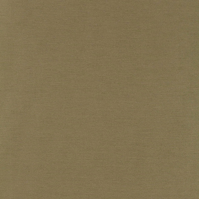 Schumacher Tiepolo Shantung Weave Sage Fabric - Eade's Wallpaper