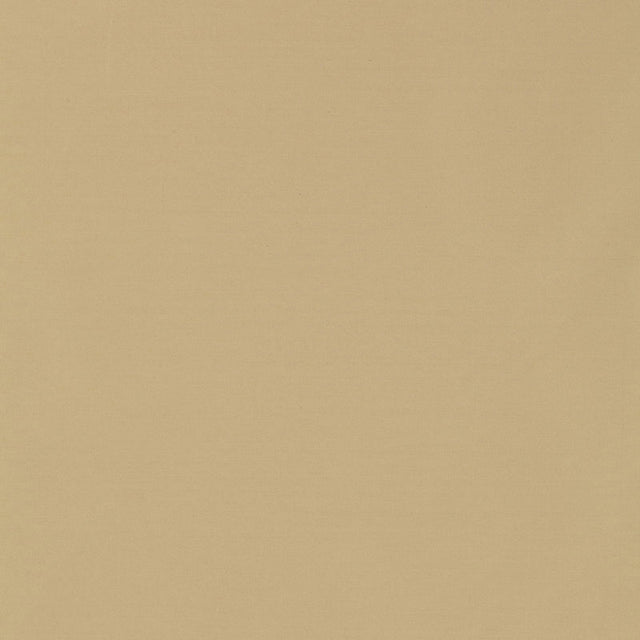 Schumacher 63900 MASACCIO TAFFETA in PUTTY Fabric - PERFECT 