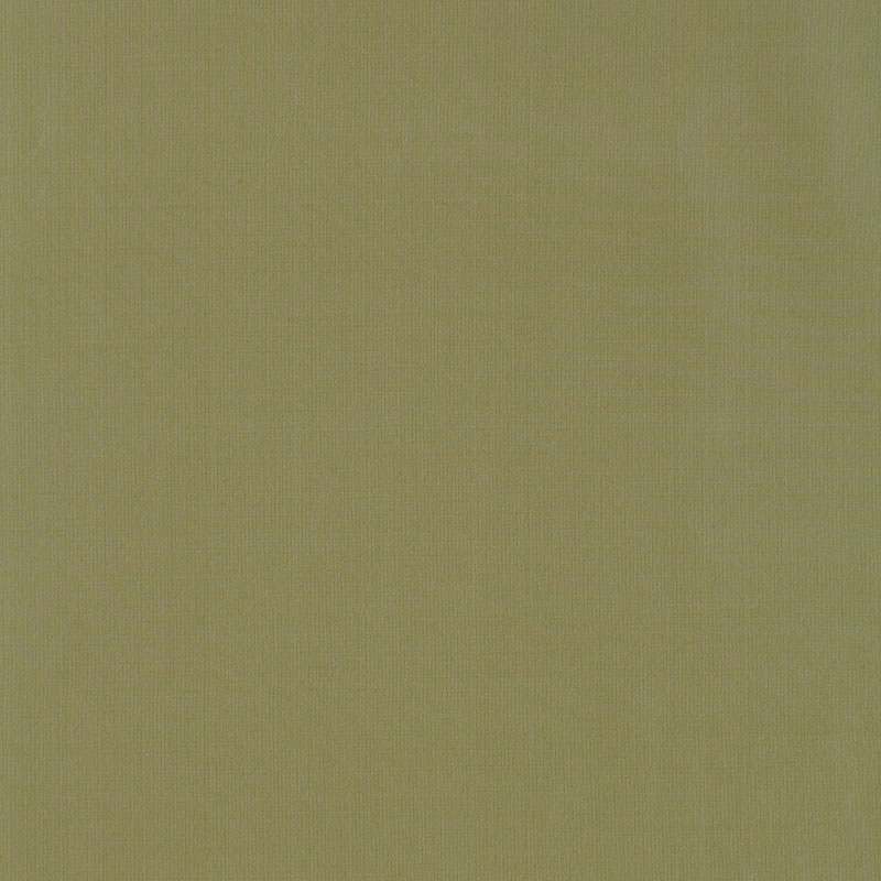 Schumacher 63913 MASACCIO TAFFETA in HERB Fabric - PERFECT B