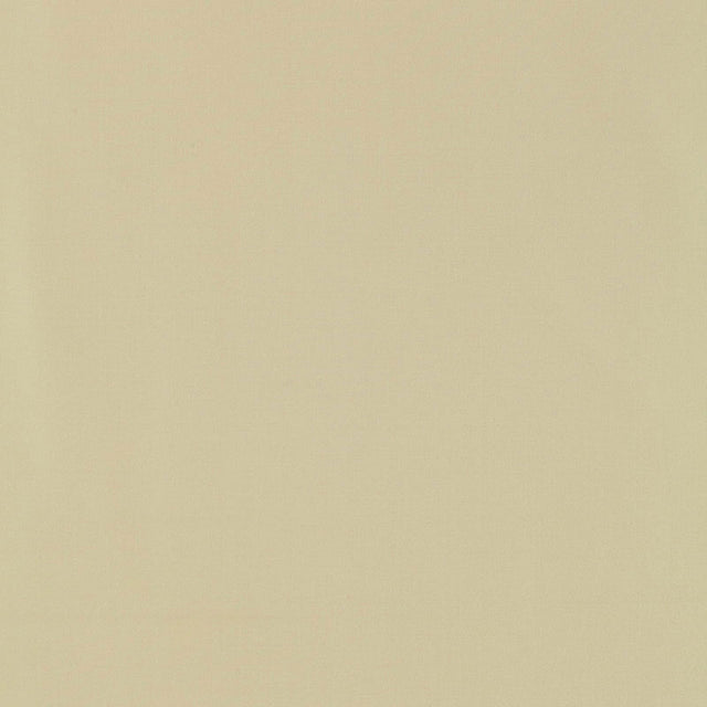 Schumacher 63931 GIORDANO TAFFETA in BUFF Fabric - PERFECT B