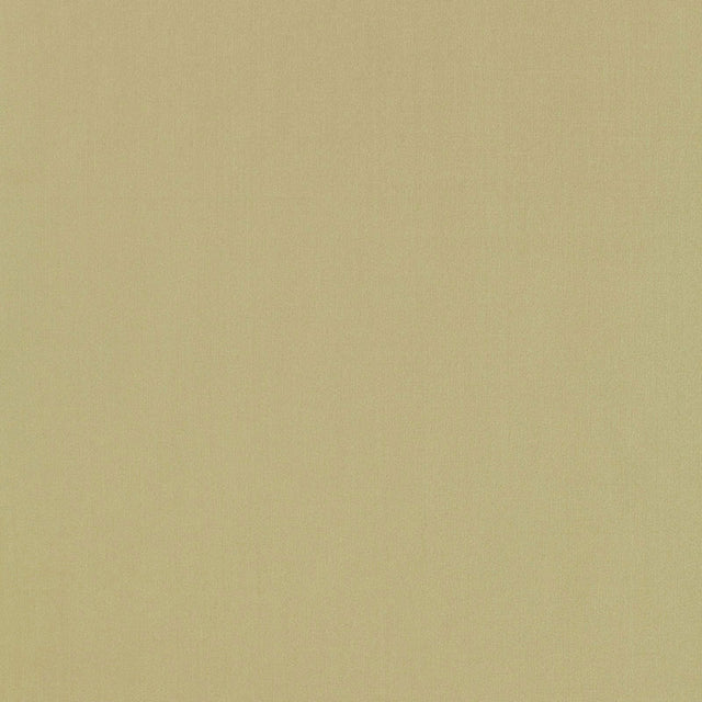 Schumacher 63962 GIORDANO TAFFETA in CELERY Fabric - PERFECT