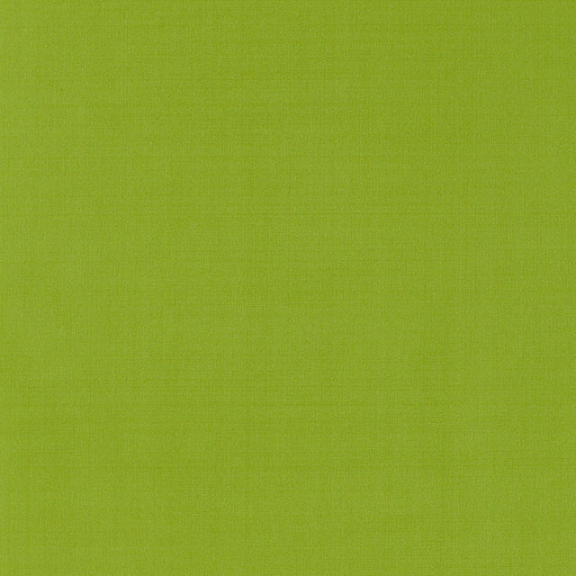 Schumacher 63969 GIORDANO TAFFETA in LIME Fabric - PERFECT B