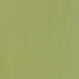 Schumacher 63970 GIORDANO TAFFETA in KRYPTONITE Fabric - PER
