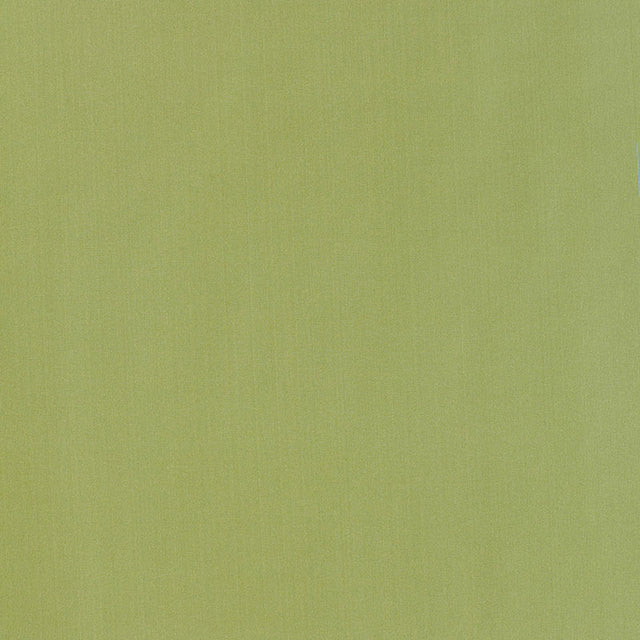 Schumacher 63970 GIORDANO TAFFETA in KRYPTONITE Fabric - PER