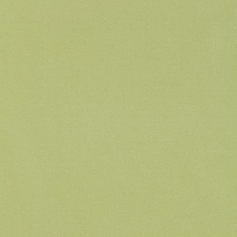 Schumacher 63971 GIORDANO TAFFETA in MINT JULEP Fabric - PER
