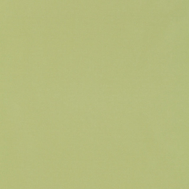 Schumacher 63971 GIORDANO TAFFETA in MINT JULEP Fabric - PER