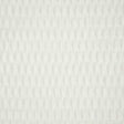 Pindler SQUIGGLE TUSK 6413 Fabric - Fabric Collection