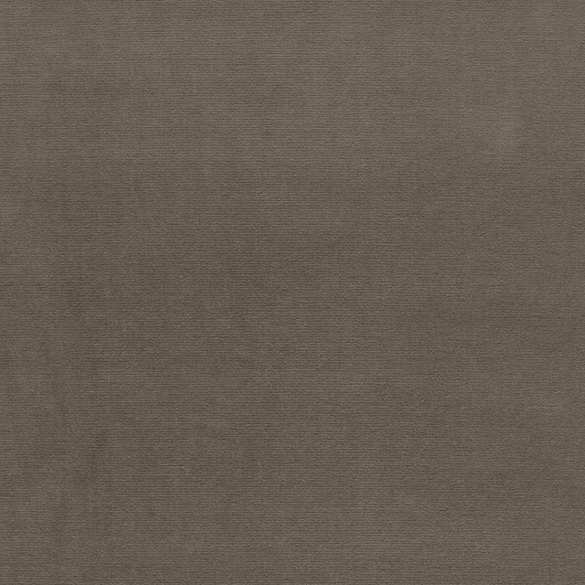 Eade’s MOLESKIN