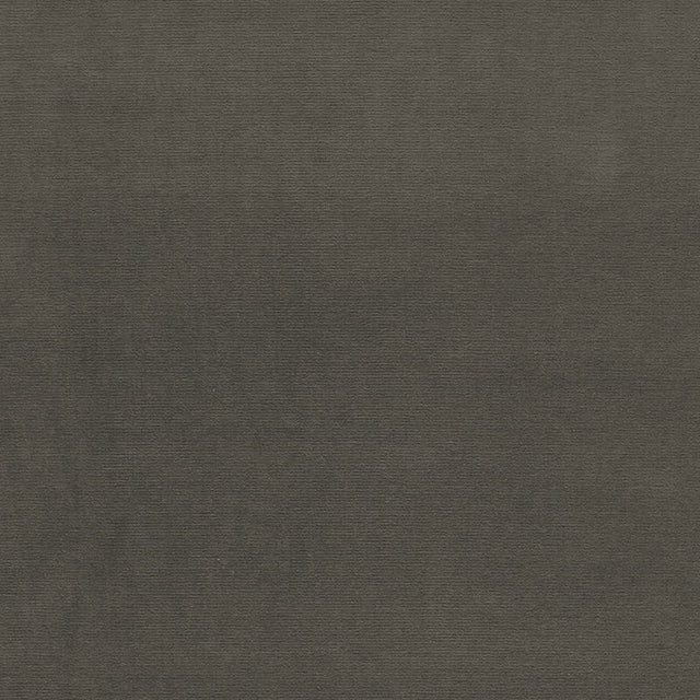 Eade’s CARBON