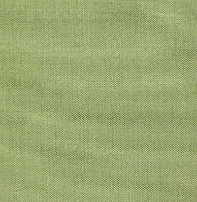 Pindler BALBOA SPROUT 6484 Fabric