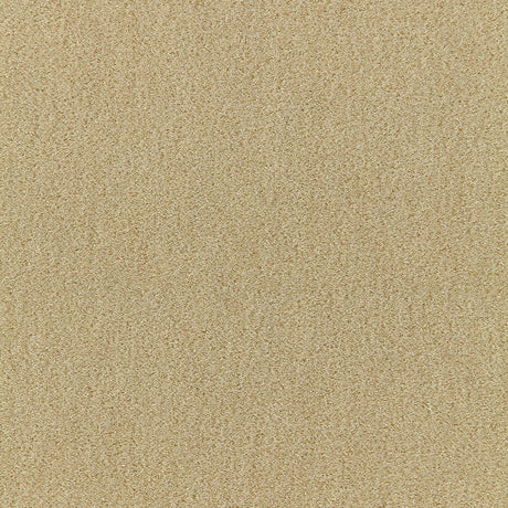 Schumacher San Carlo Mohair Velvet Putty Fabric - Eade's Wallpaper