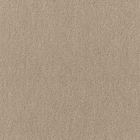 Schumacher San Carlo Mohair Velvet Fog Fabric - Eade's Wallpaper