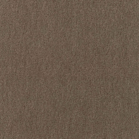 Schumacher San Carlo Mohair Velvet Taupe Fabric - Eade's Wallpaper