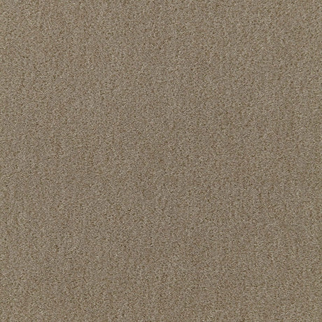 Schumacher San Carlo Mohair Velvet Khaki Fabric - Eade's Wallpaper