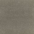 Schumacher San Carlo Mohair Velvet Moleskin Fabric - Eade's Wallpaper