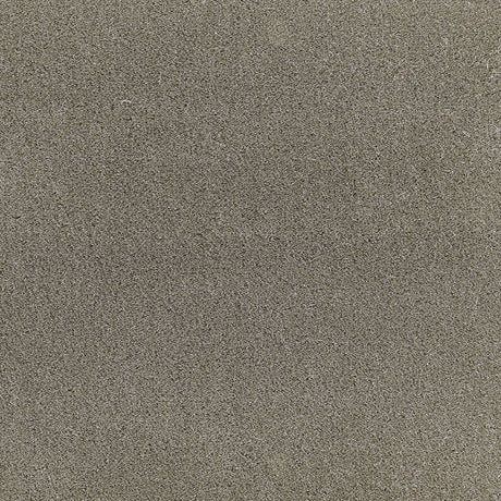 Schumacher San Carlo Mohair Velvet Moleskin Fabric - Eade's Wallpaper