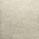 Eade's GH65003-23-sample Beige