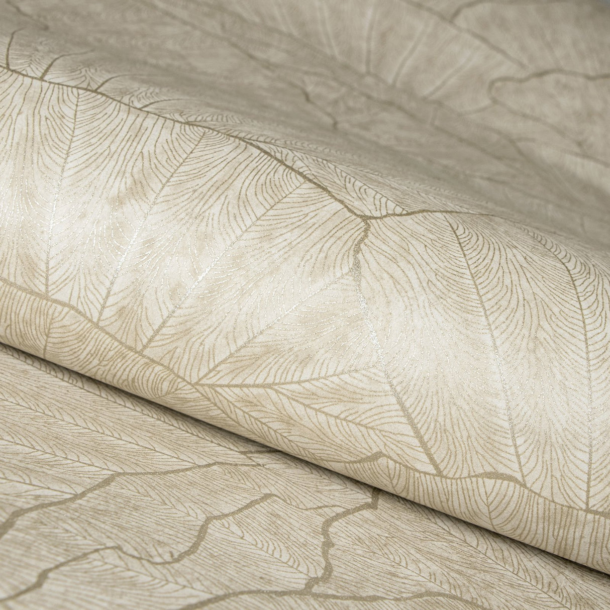 Eade's GH65003-23-sample Beige