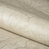 Eade's GH65003-23-sample Beige