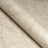 Eade's GH65003-23-sample Beige