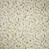 Galerie GH65304-23 Beige Wildflower - Eade's Wallpaper