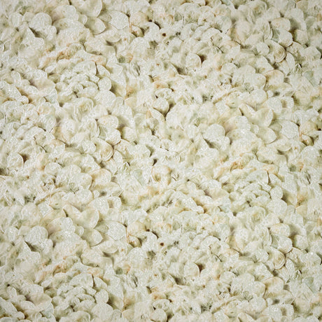 Galerie GH65304-23 Beige Wildflower - Eade's Wallpaper