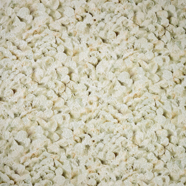 Galerie GH65304-23 Beige Wildflower - Eade's Wallpaper