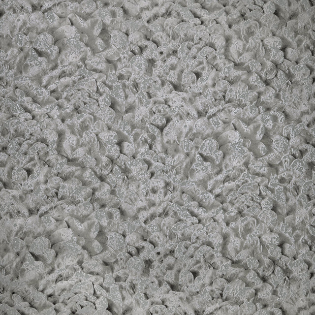 Galerie GH65309-23 Silver Grey Wildflower - Eade's Wallpaper