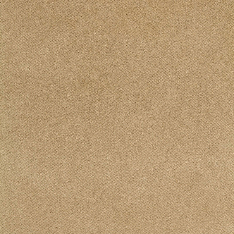 Schumacher 65311 BAYEUX VELVET in PUTTY Fabric - PERFECT BAS