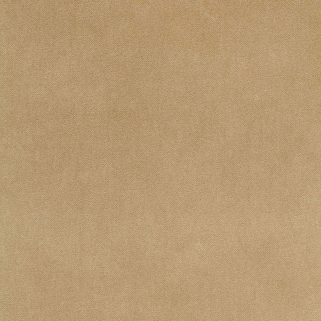 Schumacher 65311 BAYEUX VELVET in PUTTY Fabric - PERFECT BAS