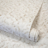 Eade's GH65312-23-sample Beige