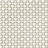 Eade’s STONE/WHITE