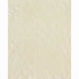 Schumacher Agadir Embroidery Champagne Fabric