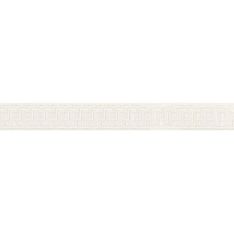 Schumacher 66146 LABYRINTH TAPE in SILVER Trim - MARY MCDONA