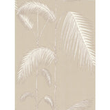 COLE & SON 66/2013.CS.0 PALM LEAVES TAUPE/W Wallpaper - Eade's Wallpaper
