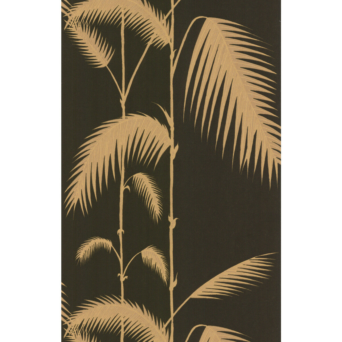 COLE & SON 66/2014.CS.0 PALM LEAVES BLACK/T Wallpaper - Eade's Wallpaper
