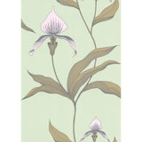 COLE & SON 66/4028.CS.0 ORCHID PALE GR Wallpaper - Eade's Wallpaper