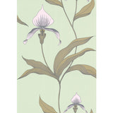 COLE & SON 66/4028.CS.0 ORCHID PALE GR Wallpaper - Eade's Wallpaper