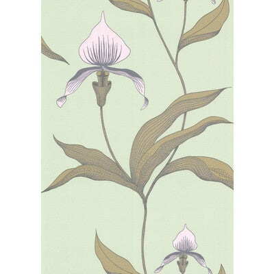 COLE & SON 66/4028.CS.0 ORCHID PALE GR Wallpaper - Eade's Wallpaper