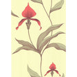 COLE & SON 66/4033.CS.0 ORCHID LIME/OR Wallpaper - Eade's Wallpaper