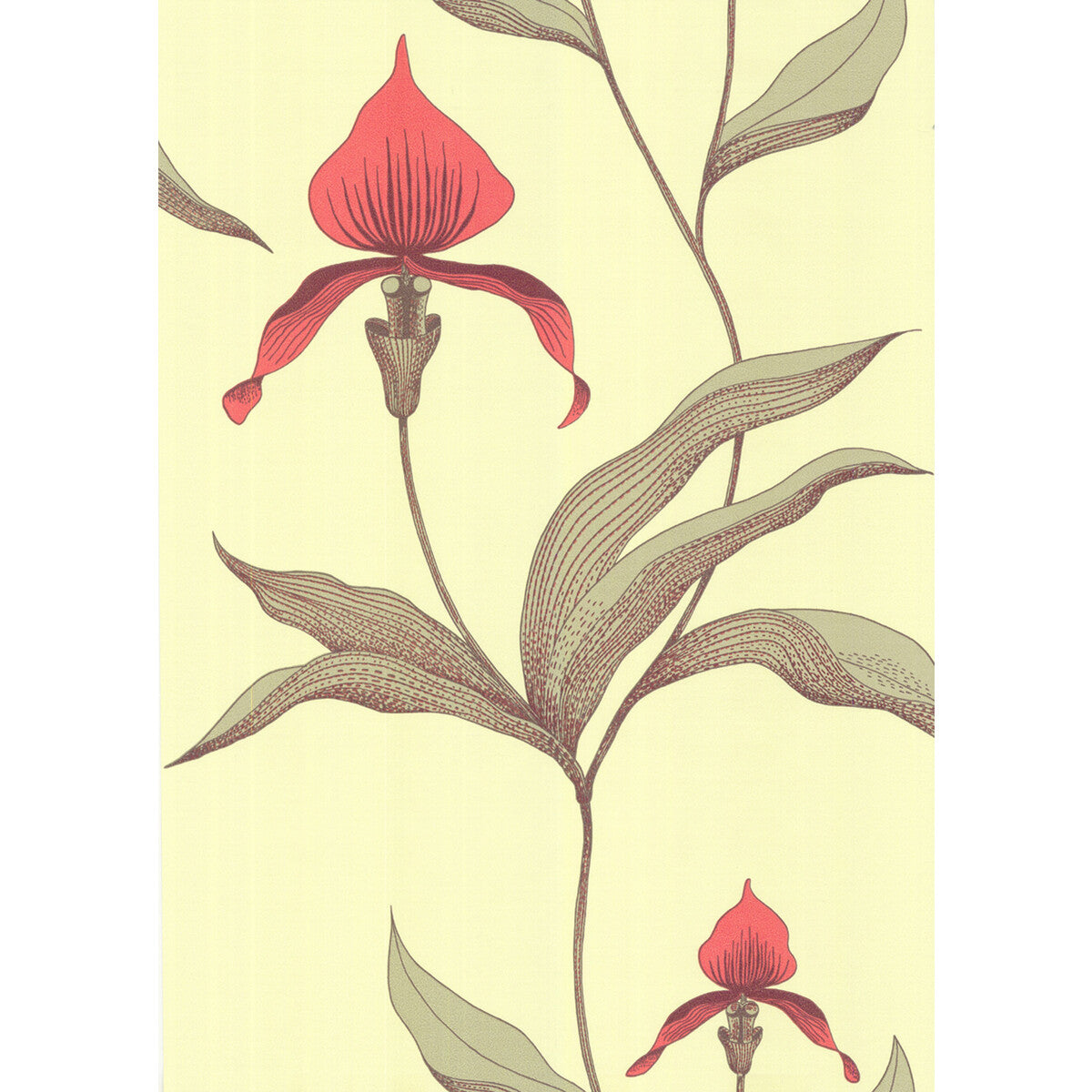 COLE & SON 66/4033.CS.0 ORCHID LIME/OR Wallpaper - Eade's Wallpaper