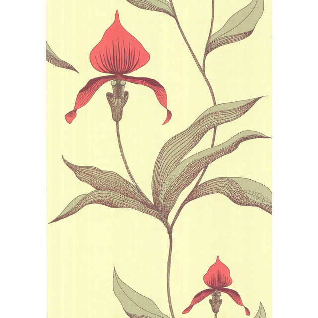 COLE & SON 66/4033.CS.0 ORCHID LIME/OR Wallpaper - Eade's Wallpaper