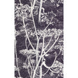 COLE & SON 66/7046.CS.0 COW PARSLEY WHITE/BLK Wallpaper - Eade's Wallpaper